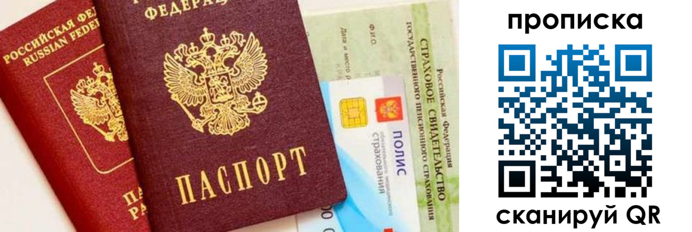 прописка 2025 в Димитровграде